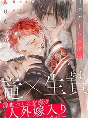 新番动漫网-免费漫画阅读平台
